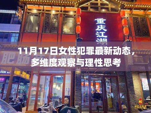 11月17日女性犯罪最新动态，多维度观察与理性思考