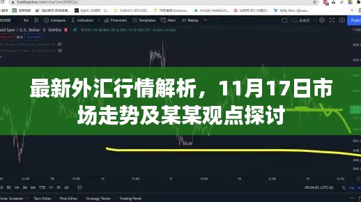 最新外汇行情解析，11月17日市场走势及某某观点探讨