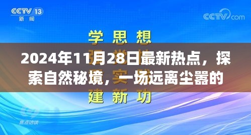 探索自然秘境，心灵之旅启程于2024年11月28日