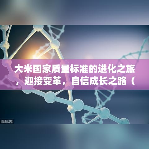 大米国家质量标准的进化之旅，迎接变革，自信成长之路（最新11月标准）