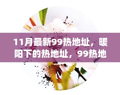 11月最新99热地址，暖阳下的热地址，99热地址的奇妙日常与友情故事