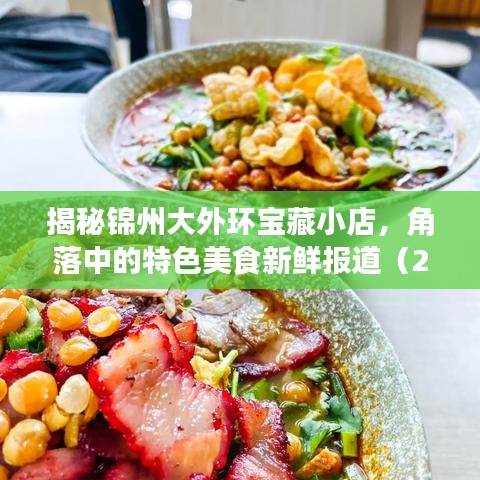 揭秘锦州大外环宝藏小店，角落中的特色美食新鲜报道（2024年11月17日最新报道）