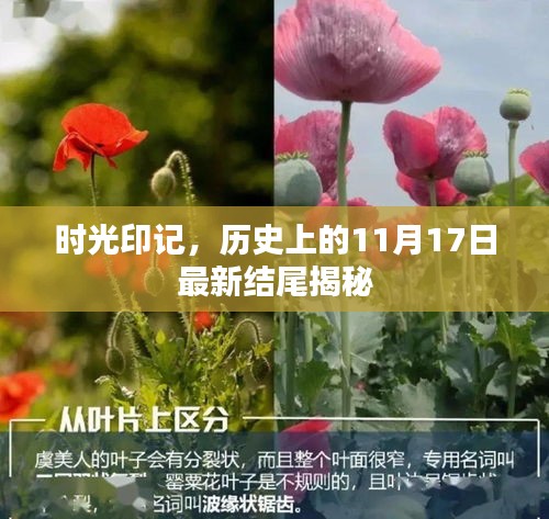 时光印记，历史上的11月17日最新结尾揭秘