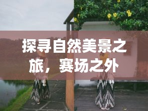 探寻自然美景之旅，赛场之外的心灵宁静召唤与全国最新比赛回顾——历史11月17日纪实