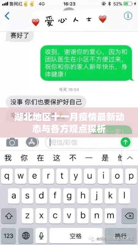 湖北地区十一月疫情最新动态与各方观点探析