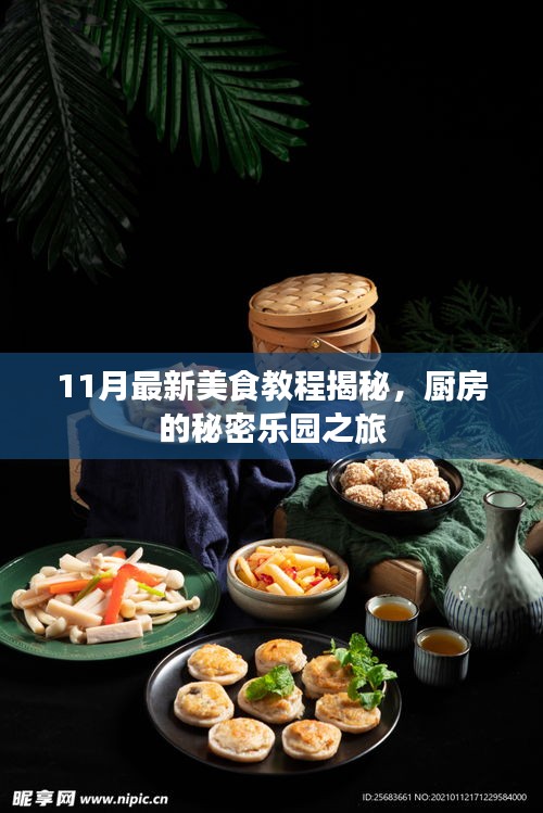 11月最新美食教程揭秘，厨房的秘密乐园之旅