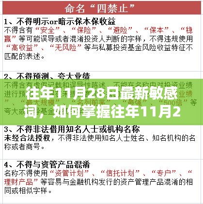 往年11月28日敏感词掌握指南，详细步骤助你洞悉最新趋势与热点话题