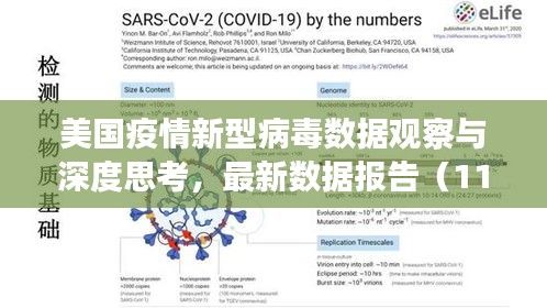 美国疫情新型病毒数据观察与深度思考，最新数据报告（11月17日）