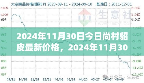 尚村貂皮最新价格动态及市场分析（2024年11月30日）