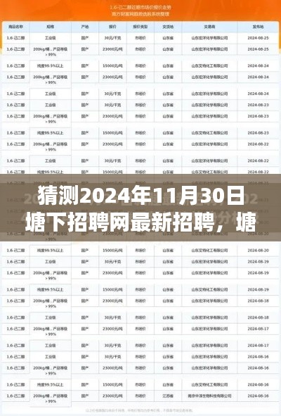 塘下招聘网最新招聘动态探索与求职指南（猜测至2024年11月30日）