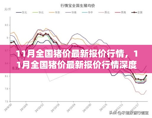 11月全国猪价最新报价行情及其深度解析