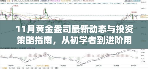 11月黄金盎司最新动态与投资策略指南，从初学者到进阶用户的黄金投资步骤详解