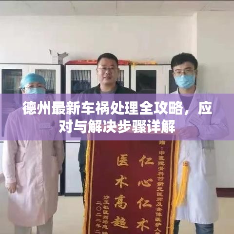 德州最新车祸处理全攻略，应对与解决步骤详解