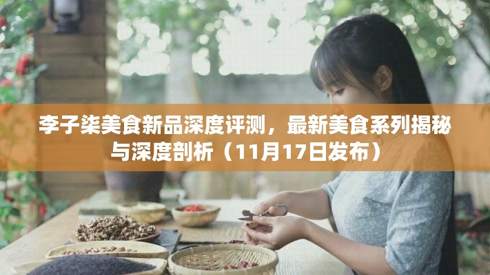 李子柒美食新品深度评测，最新美食系列揭秘与深度剖析（11月17日发布）