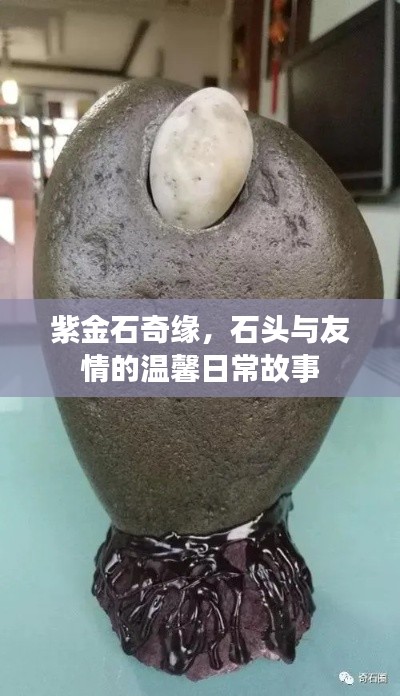 紫金石奇缘，石头与友情的温馨日常故事