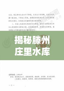 揭秘滕州庄里水库最新动态，十一月进展抢鲜看