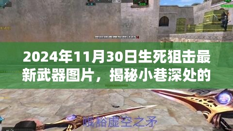 揭秘生死狙击最新武器，揭秘小巷深处的神秘武器店（最新图片，2024年11月）