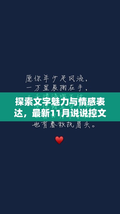 探索文字魅力与情感表达，最新11月说说控文字控说说分享