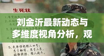 刘金沂最新动态与多维度视角分析，观点阐述于2024年11月17日