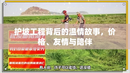 护坡工程背后的温情故事，价格、友情与陪伴