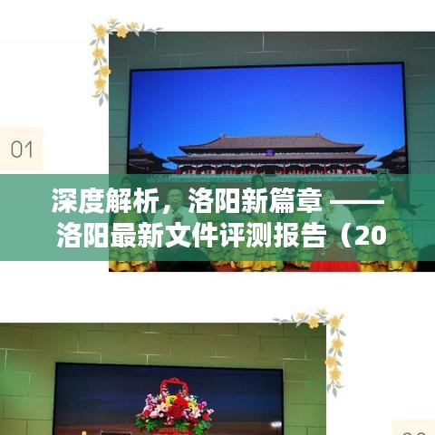 深度解析，洛阳新篇章 —— 洛阳最新文件评测报告（2024年）