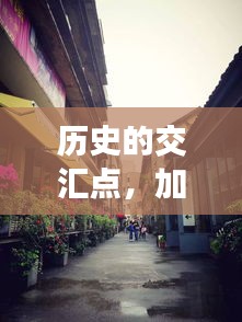 历史的交汇点，加币跌势下的偶遇与小巷特色小店的探秘之旅