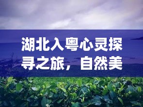 湖北入粤心灵探寻之旅，自然美景与宁静心灵的交融（历史视角下的湖北入粤纪念）