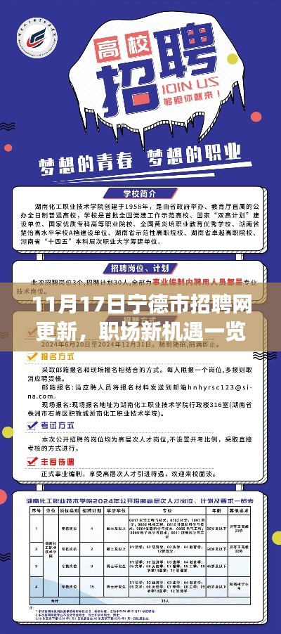 11月17日宁德市招聘网更新，职场新机遇一览无余