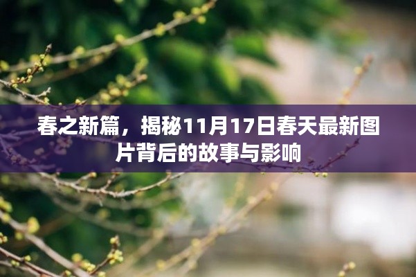 春之新篇，揭秘11月17日春天最新图片背后的故事与影响