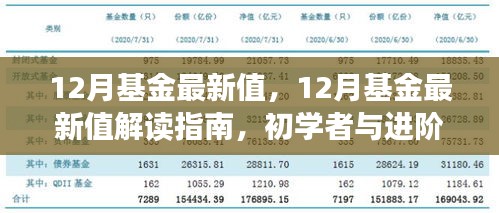 12月基金最新值解读与操作指南，初学者到进阶用户的全方位教程