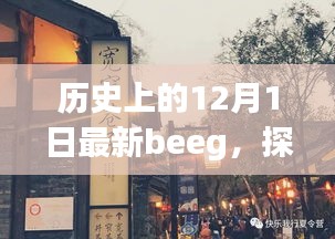 探秘历史深处的独特风情，小巷深处的味觉盛宴——最新beeg记录片揭秘之旅