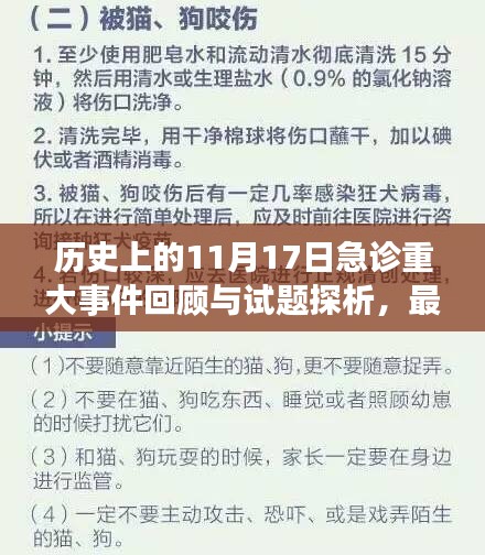 历史上的11月17日急诊重大事件回顾与试题探析，最新试题探析及领域发展洞察