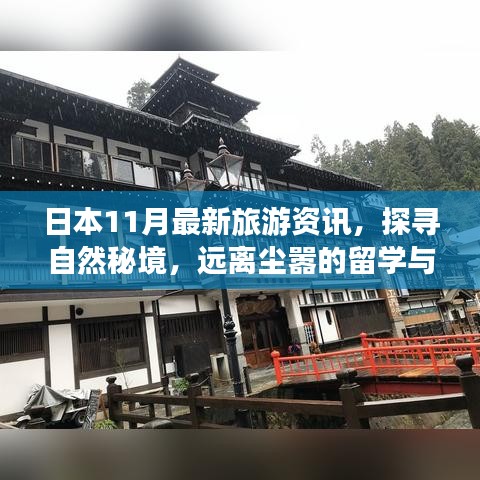 日本11月最新旅游资讯，探寻自然秘境，远离尘嚣的留学与旅行指南