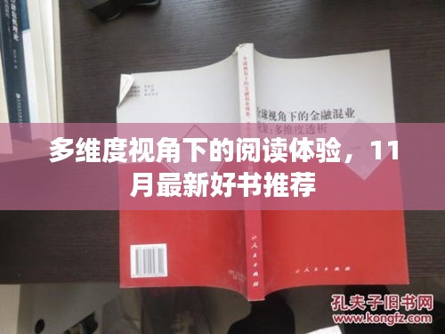 多维度视角下的阅读体验，11月最新好书推荐