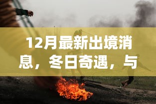 12月最新出境消息，冬日边境之行与朋友共赴奇遇之旅