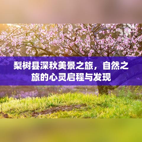 梨树县深秋美景之旅，自然之旅的心灵启程与发现