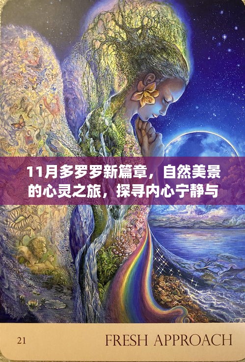 11月多罗罗新篇章，自然美景的心灵之旅，探寻内心宁静与平和的启程