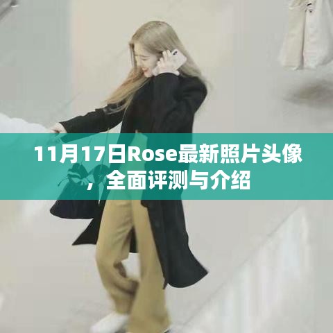 11月17日Rose最新照片头像，全面评测与介绍