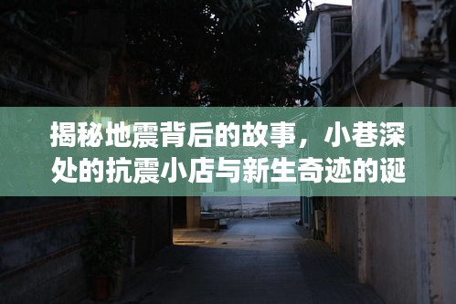 揭秘地震背后的故事，小巷深处的抗震小店与新生奇迹的诞生（最新消息及伤亡情况）