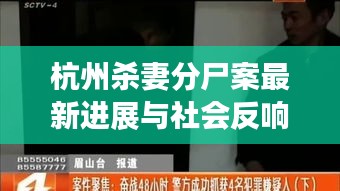 杭州杀妻分尸案最新进展与社会反响分析，聚焦历史时间线揭秘案件进展动态报道分析标题。