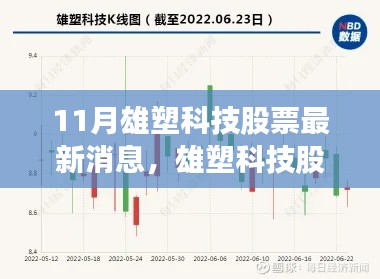 11月雄塑科技股票最新消息，雄塑科技股票最新消息，与自然共舞，心灵旅行的奇妙之旅