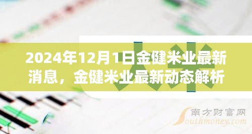 2024年12月1日金健米业最新动态与行业观点聚焦