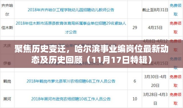 聚焦历史变迁，哈尔滨事业编岗位最新动态及历史回顾（11月17日特辑）