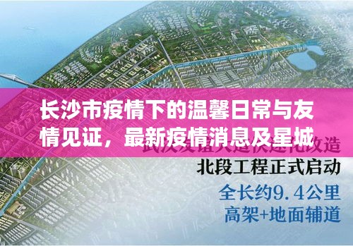 长沙市疫情下的温馨日常与友情见证，最新疫情消息及星城之爱（2024年11月17日）