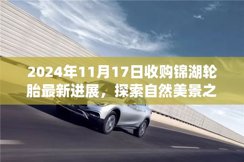 2024年11月17日收购锦湖轮胎最新进展，探索自然美景之旅，收购锦湖轮胎新进展，启程寻找内心宁静的力量