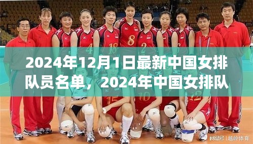 独家解析，2024年中国女排队员名单全揭秘与某某观点阐述