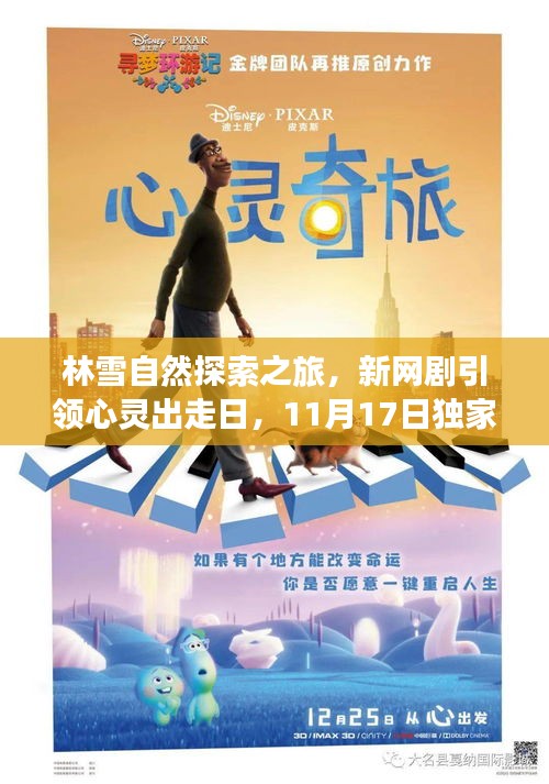 林雪自然探索之旅，新网剧引领心灵出走日，11月17日独家呈现