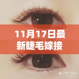 11月17日最新睫毛嫁接技巧详解与专业指南，附要点解析