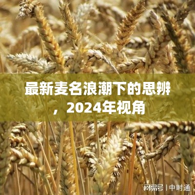 最新麦名浪潮下的思辨，2024年视角