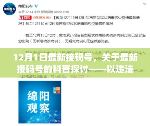 关于最新接码号的科普探讨，以违法犯罪问题为重点分析（十二月一日最新动态）